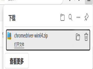 chromedriver下载与安装方法