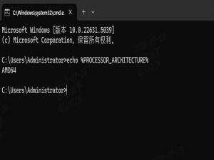 windows软件ARM64和AMD64（x64）区别，如何查看电脑支持哪种_windows x64与windows arm64的区别