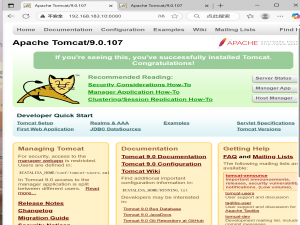 WEB应用服务器TOMCAT
