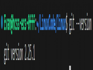 【Linux系统】Git 入门指南：如何高效管理你的代码库