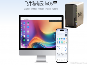 群晖套娃：群晖+飞牛fnOS二合一，群晖nas安装飞牛fnOS系统实录（飞牛fnOS初体验，如何挂载网盘视频，轻松实现影视刮削）_群晖安装飞牛