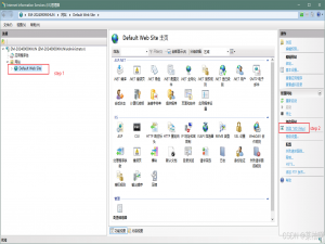 Windows开启IIS后依然出现http error 503.the service is unavailable_iis503