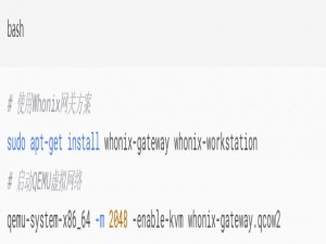 【渗透测试：暗网行动】匿名渗透与反追踪技术终极指南——从Tor到区块链的隐匿战争