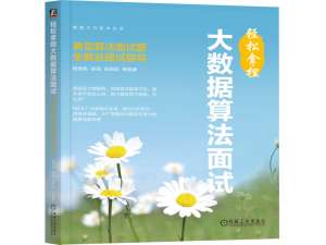 征服大数据算法面试：核心题型与实战解析