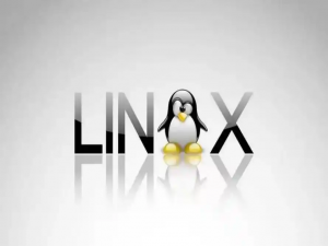 Linux 服务器运维常用命令大全_linux运维命令大全