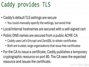 【网络】Caddy 服务器如何提供 TLS（Transport Layer Security）（传输层安全协议）_caddy tls