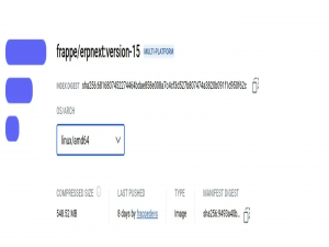 用 Docker 轻松部署 ERPNext 15