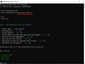 前端-Vue的项目流程_npm启动vue项目