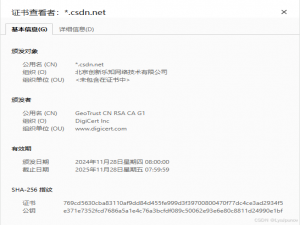 HTTPS全解析：从证书签发到TLS握手优化_tls1.3