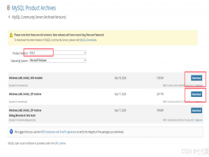 MySQL 8.4 安装教程_mysql8.4安装教程