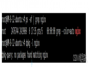 Docker--通过Docker容器创建一个Web服务器_docker web