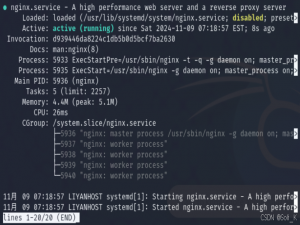 在 Debian 系统上安装和配置 Nginx 服务器_debian安装nginx