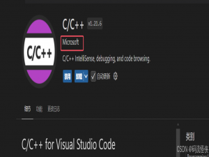 Visual Studio Code 高效开发 C/C++ 插件推荐_vscode c++插件推荐