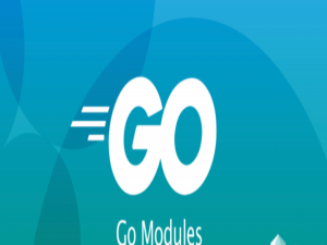 Go Vendor 和 Go Modules：管理和扩展依赖的最佳实践