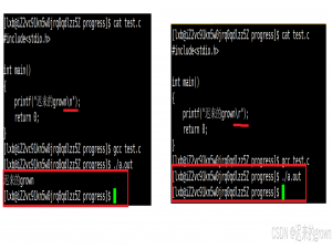 初识Linux —— 第一个程序（进度条）_linux入门第一个实例