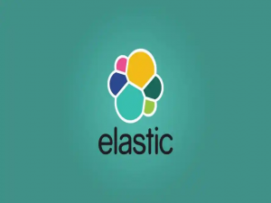 ElasticSearch：不停机更新索引类型
