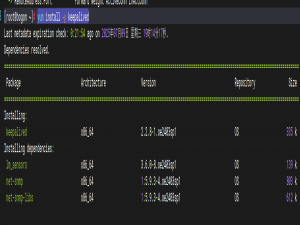 从零开始的云计算生活——番外3，LVS+KeepAlived+Nginx高可用实现方案_lvs+nginx