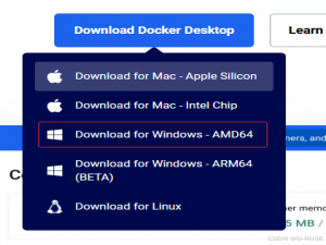 Windows 11 下正确安装 Docker Desktop 到 其他盘的完整教程_windows11安装docker desktop