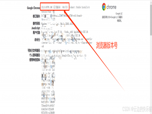 python的自动化selenium安装配置（包含谷歌的chromedriver）_python selenium chrome