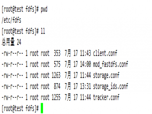 FastDFS 6.11.0 单机环境搭建与测试（附 Nginx 集成）+ docker构建+k8s启动文件