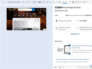 微软Edge浏览器全解析_edge 命令行参数