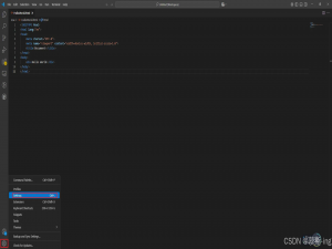 VSCode设置内容字体大小_vscode设置字体大小
