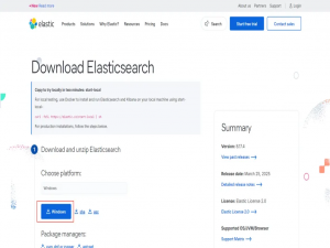 ElasticSearch在Windows单节点部署及使用_windows部署es