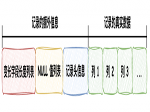 MySQL的底层原理--InnoDB记录存储结构