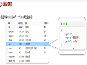 MybatisPlus-17.扩展功能-JSON处理器