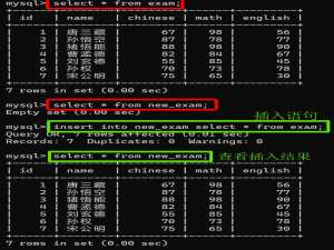 全面解析MySQL(3)——CRUD进阶与数据库约束：构建健壮数据系统的基石