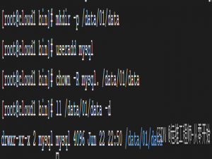 数据库2：超详细的初始化MySQL方法 --图文版_mysql初始化
