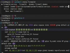 LNMP-zblog分布式部署