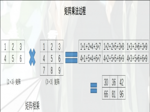 EP04：【DL 第二弹】张量的线性代数运算