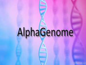 AlphaGenome：基因组学领域的人工智能革命
