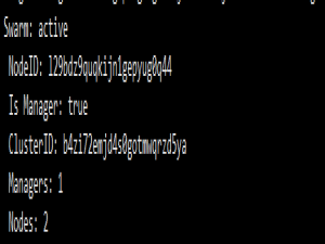 Docker Swarm与Portainer搭建可视化管理工具_docker swarm portainer