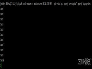 Kafka运维实战 15 - kafka 重设消费者组位移入门和实战【实战】
