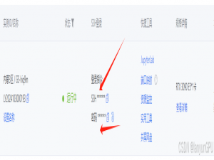01 服务器or本地项目部署全流程及常见问题_服务器本地化部署