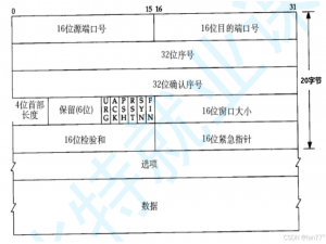 【Linux网络编程】传输层协议 - TCP