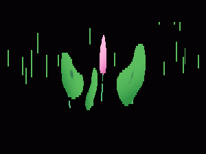 《C++进阶之STL》【二叉搜索树】