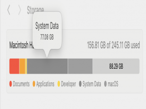 MacOS内存管理-删除冗余系统数据System Data_com.apple.mediaanalysisd