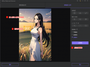 一键去除图片和视频水印工具 - HitPaw Watermark Remover，支持win和mac系统（附下载地址）