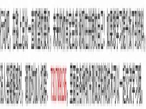 你了解Postman 变量吗？