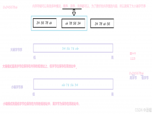 C语言 数据存储