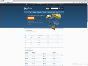 Python安装与环境配置全程详细教学（包含Windows版和Mac版）_python环境