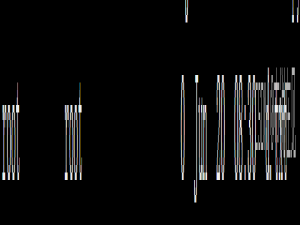 Linux 服务器运维：磁盘管理与网络配置