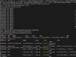Docker 详解+示例(部署Kafka镜像容器）