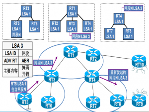 OSPF 协议（多区域）