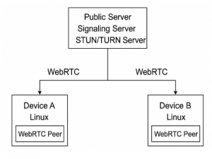 WebRTC：成功实现公网双向音视频传输（Python、js）_python webrtc
