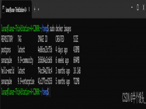 Ubuntu使用Docker搭建SonarQube企业版（含破解方法）_docker sonarqube