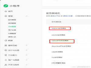 微信小程序上传文件提示errno: 600002, errMsg: “uploadFile:fail url not in domain list:xxx.xxx“_微信小程序600002